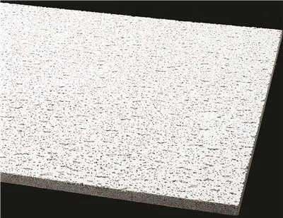 Track lighting for enhancing the architectureArmstrong Acoustical Ceiling Panel 756A Fissured Square Lay In' 24X24X5/8 In.' 16 Per Case Track lighting for enhancing the architectureArmstrong Acoustical Ceiling Panel 756A Fissured Square Lay In' 24X24X5/8 In.' 16 Per Case