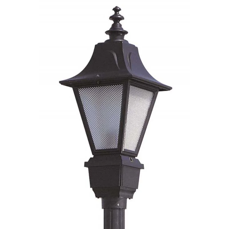 Contemporary track lighting in black finishWave Lighting C31T Town Hall Post Top