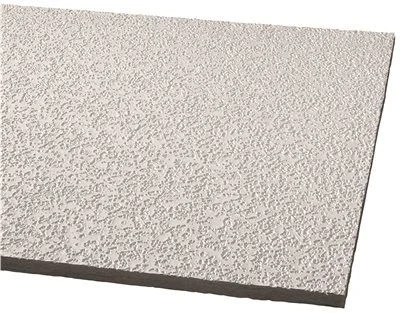 White track lighting for a clean lookArmstrong Acoustical Ceiling Panel 2910A Random Fissured Humiguard Plus Square Lay In' 24X48X5/8 In.' 16 Per Case