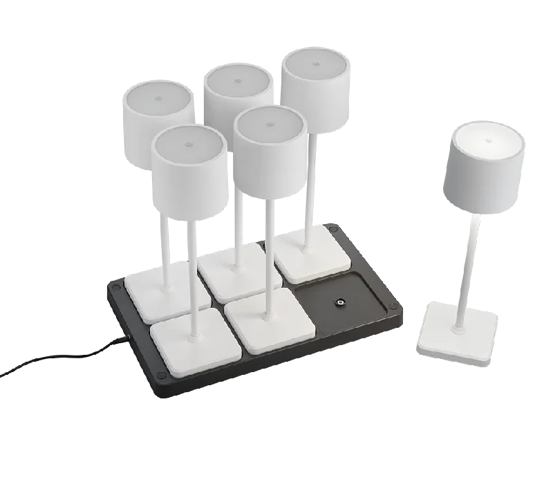 Track lighting for high - ceiling spacesFernandez Outdoor 6 Light Set With Charging Dock - Various Colours