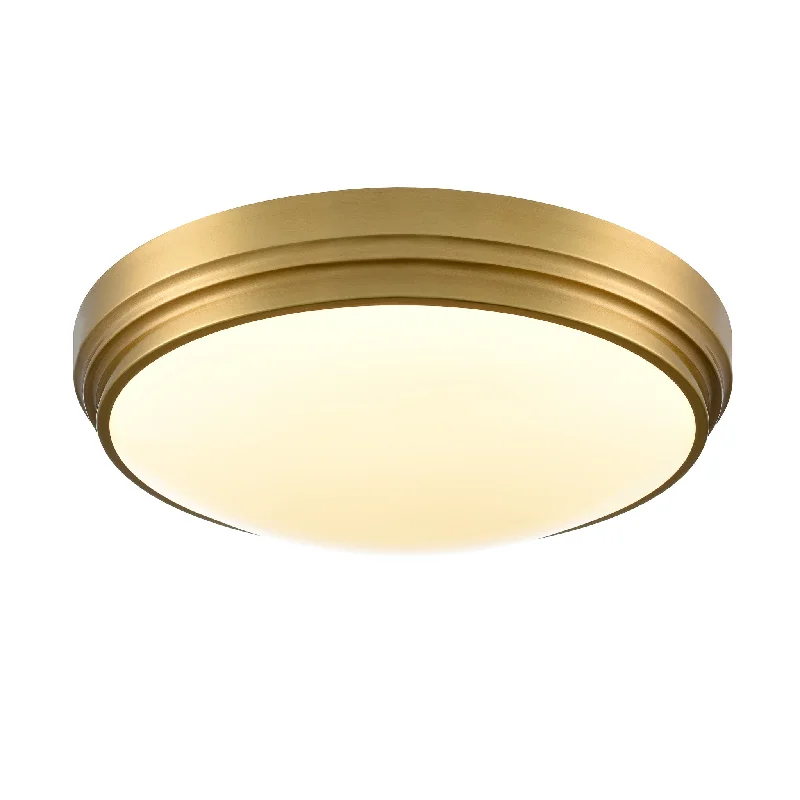 Rustic track lighting for farmhouse decorAlgoma 17" LED Flush Mount