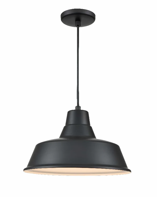 Contemporary Ceiling Lights with Unique, Abstract ShapesContemporary Ceiling Lights with Unique, Abstract ShapesR Series Classic Warehouse Pendant - Satin Black - 14in. Diameter - E26 Medium Base Contemporary Ceiling Lights with Unique, Abstract ShapesContemporary Ceiling Lights with Unique, Abstract ShapesR Series Classic Warehouse Pendant - Satin Black - 14in. Diameter - E26 Medium Base